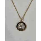 Arany medál Élet fa-Dóra